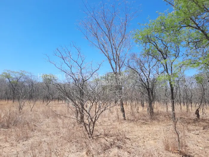 Farm/Plot for Sale in Chinhoyi, Chinhoyi