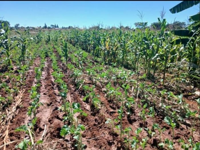 Farm/Plot for Sale in Brackenhurst, Gweru