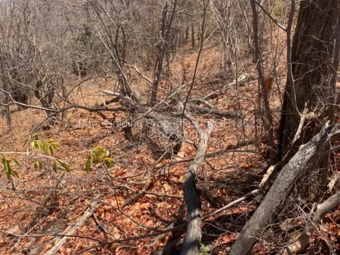 Residential Stand for Sale in Kariba, Kariba