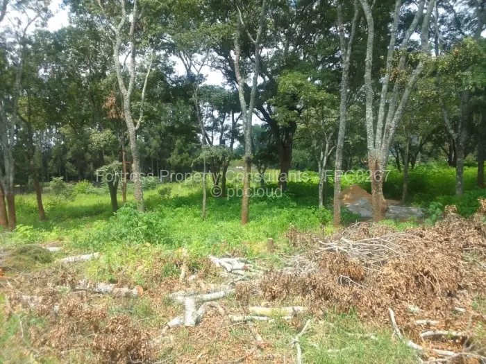 Residential Stand for Sale in Quinnington, Harare