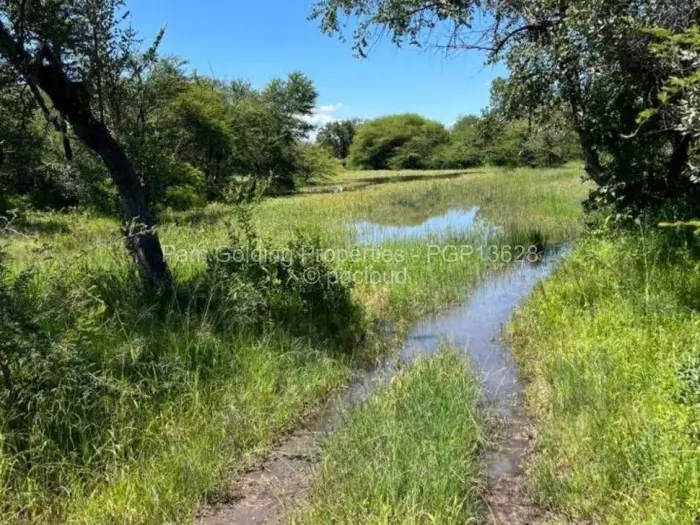 Farm/Plot for Sale in Nyamandlovu, Bulawayo