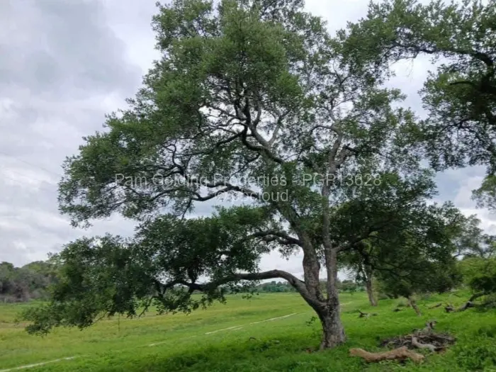 Farm/Plot for Sale in Nyamandlovu, Bulawayo