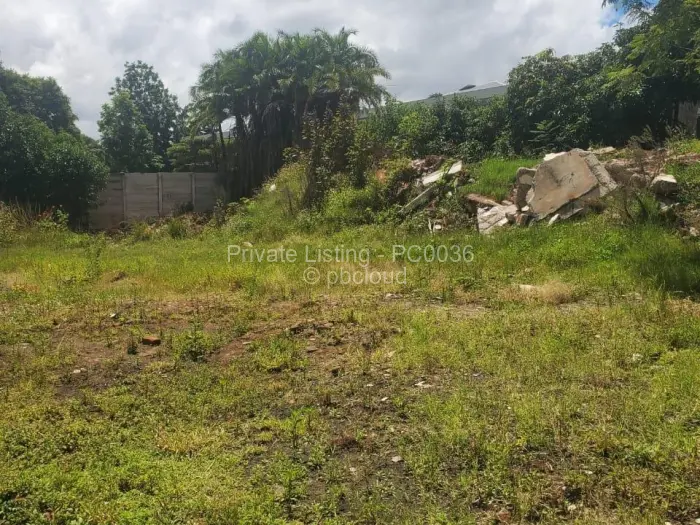 Commercial Stand for Sale in Avondale, Harare