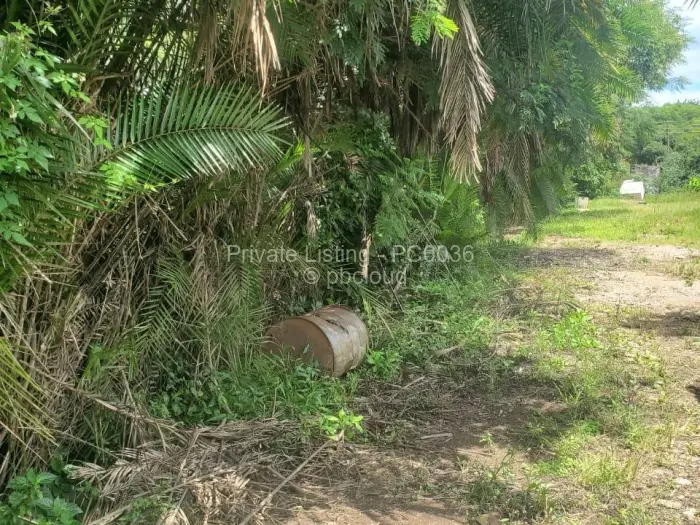 Commercial Stand for Sale in Avondale, Harare