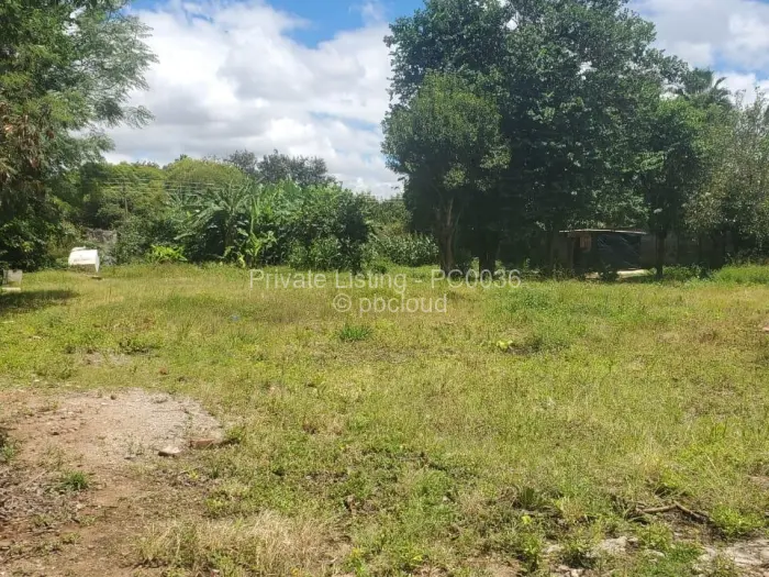 Commercial Stand for Sale in Avondale, Harare