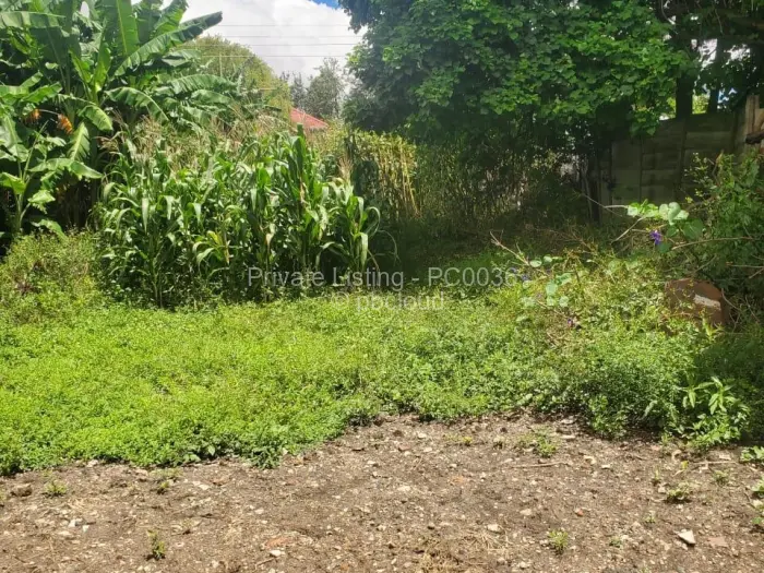 Commercial Stand for Sale in Avondale, Harare