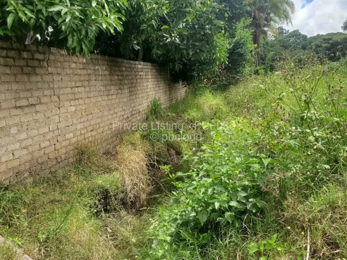 Commercial Stand for Sale in Avondale, Harare