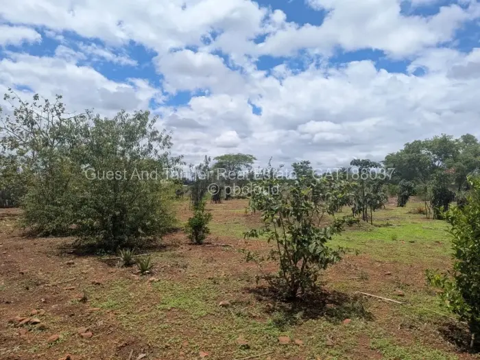 Industrial Stand for Sale in Beatrice, Beatrice