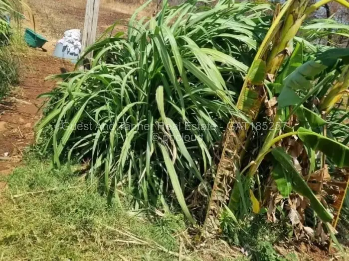 Commercial Stand for Sale in Glen Forest, Harare