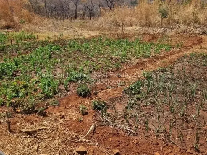 Commercial Stand for Sale in Glen Forest, Harare