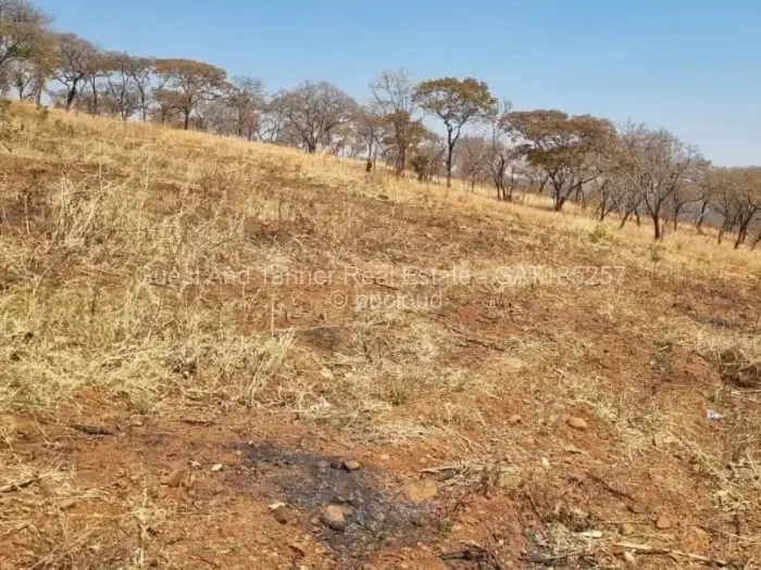 Commercial Stand for Sale in Glen Forest, Harare