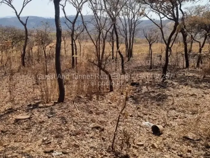 Commercial Stand for Sale in Glen Forest, Harare