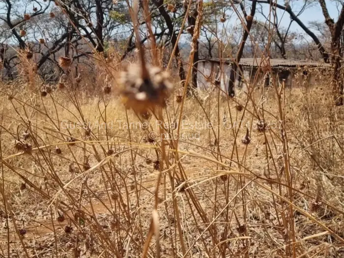 Commercial Stand for Sale in Glen Forest, Harare