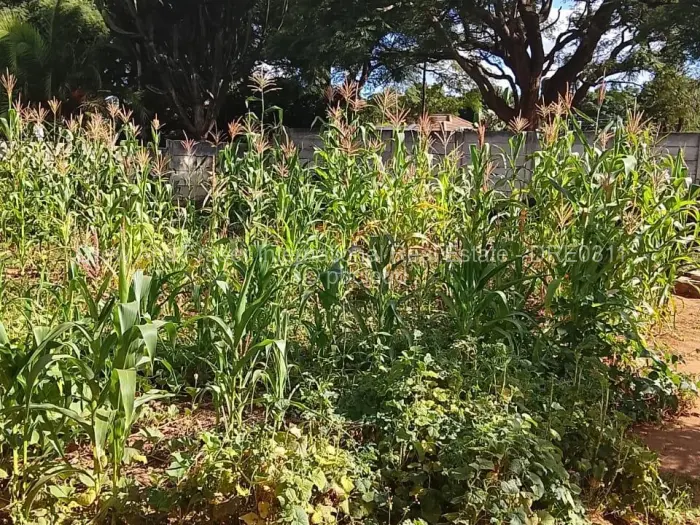 3 Bedroom House for Sale in Braeside, Harare