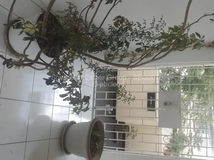 Flat/Apartment to Rent in Avondale West, Harare