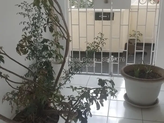 Flat/Apartment to Rent in Avondale West