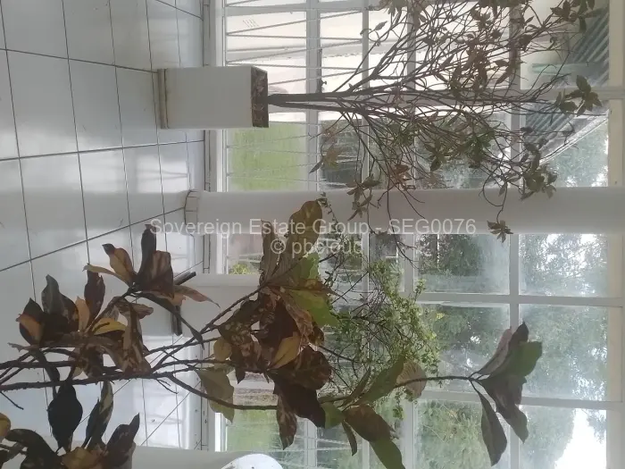 Flat/Apartment to Rent in Avondale West, Harare