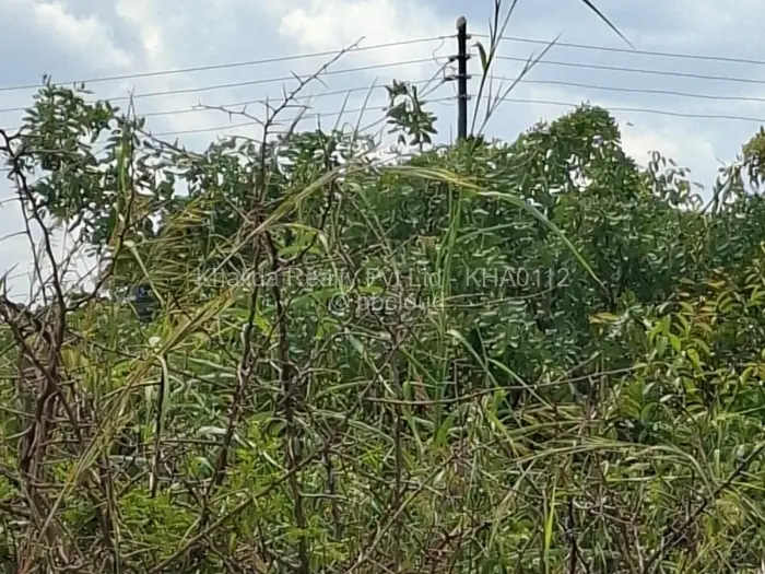 Residential Stand for Sale in Galloway, Norton