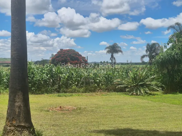 Commercial Stand for Sale in Mount Hampden, Harare