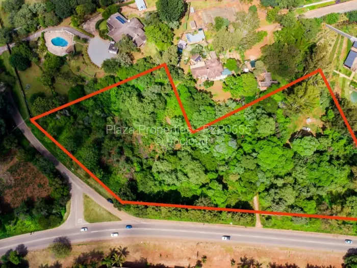 Commercial Stand for Sale in Rolf Valley