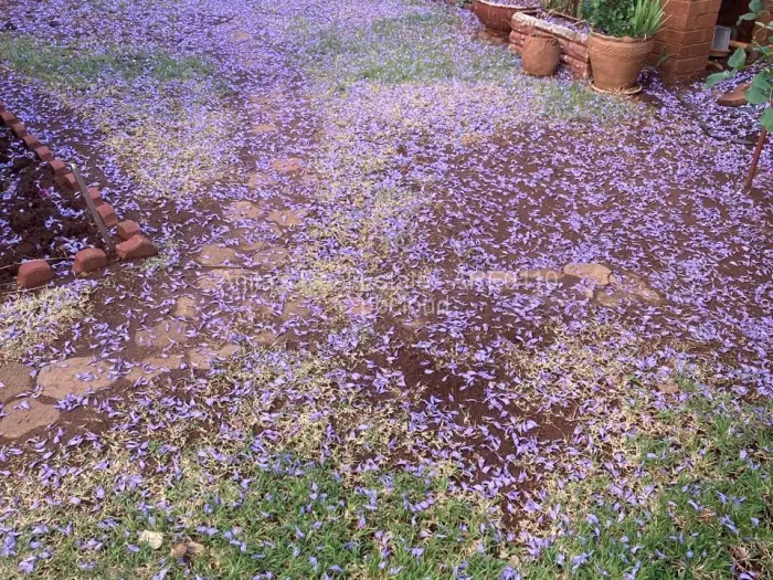 4 Bedroom House for Sale in Suburbs, Bulawayo