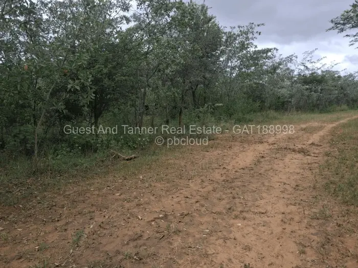 Commercial Stand for Sale in Beatrice, Beatrice