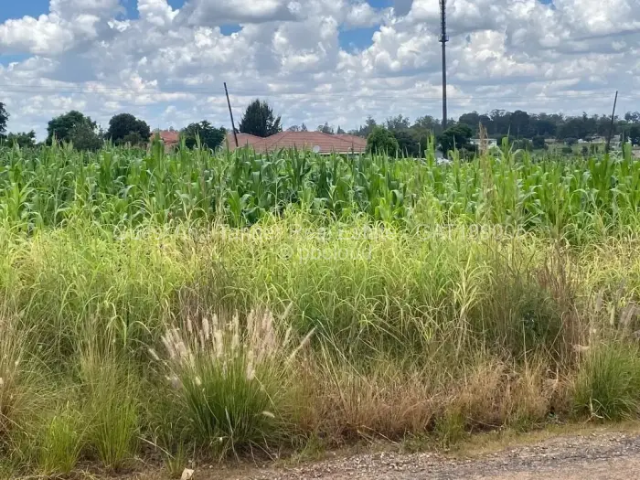 Residential Stand for Sale in Manresa, Harare