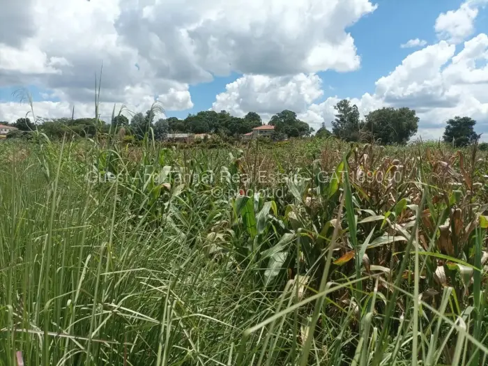 Commercial Stand for Sale in The Grange, Harare