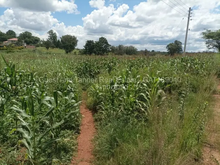 Commercial Stand for Sale in The Grange, Harare