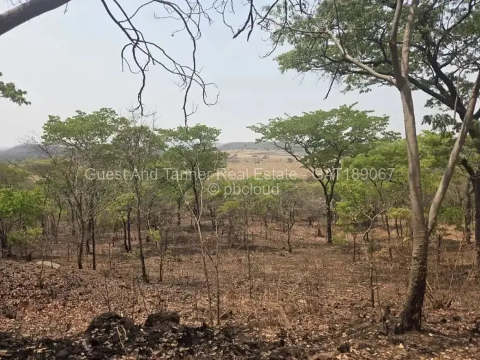 Residential Stand for Sale in Lake Chivero, Lake Chivero