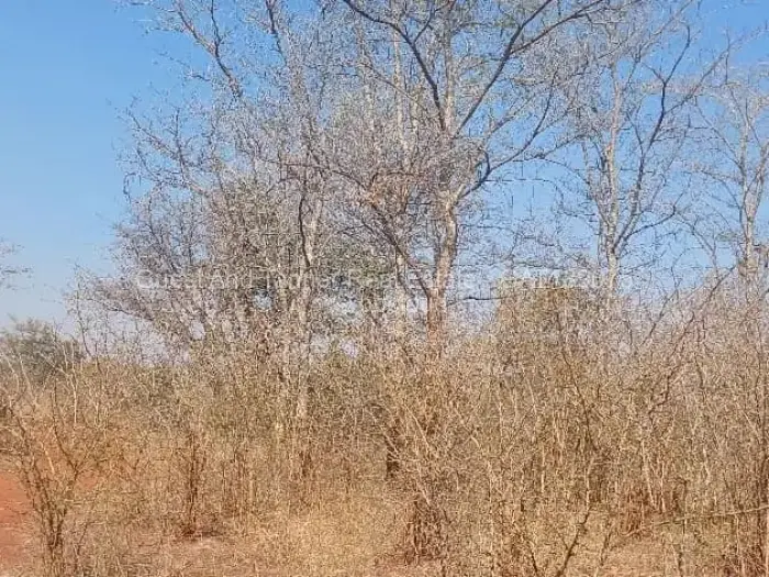 Farm/Plot for Sale in Norton, Norton