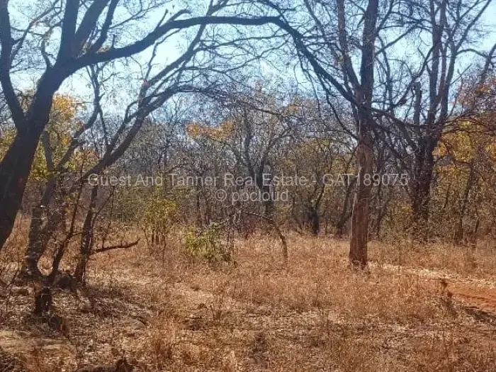 Farm/Plot for Sale in Norton, Norton