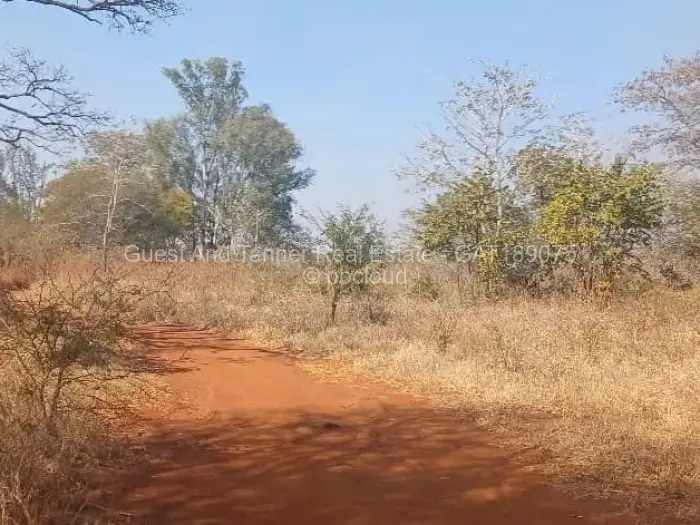 Farm/Plot for Sale in Norton, Norton