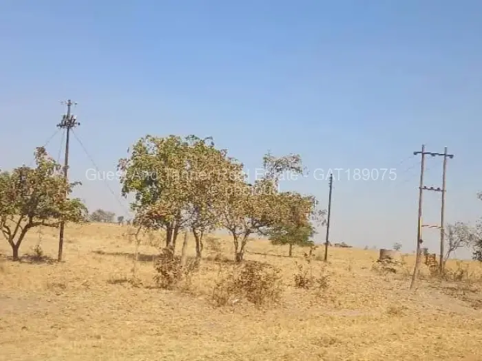 Farm/Plot for Sale in Norton, Norton