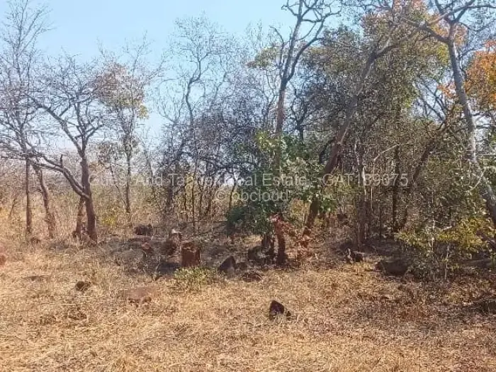 Farm/Plot for Sale in Norton, Norton