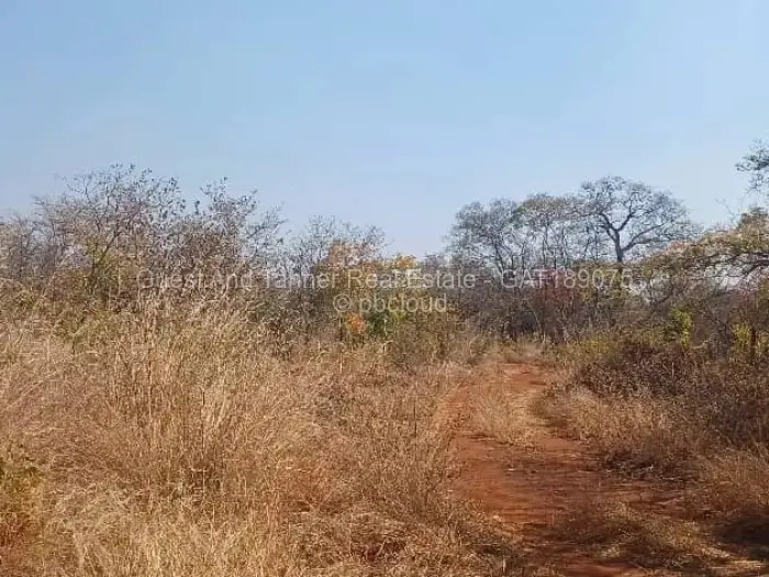 Farm/Plot for Sale in Norton, Norton