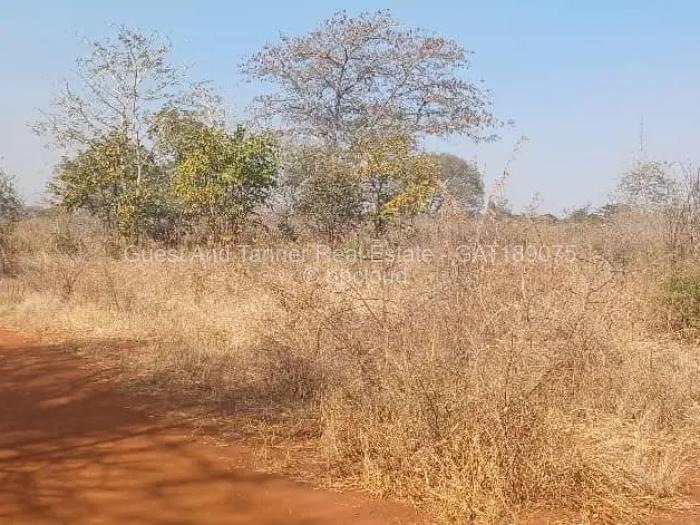 Farm/Plot for Sale in Norton, Norton