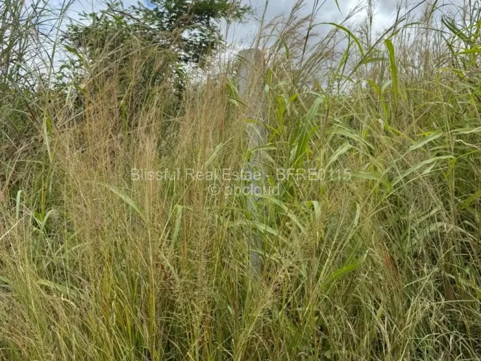 Residential Stand for Sale in Shawasha Hills, Harare