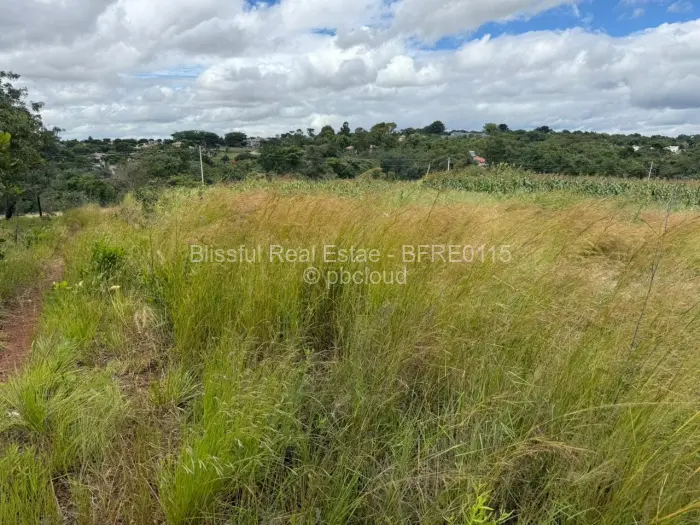 Residential Stand for Sale in Shawasha Hills, Harare