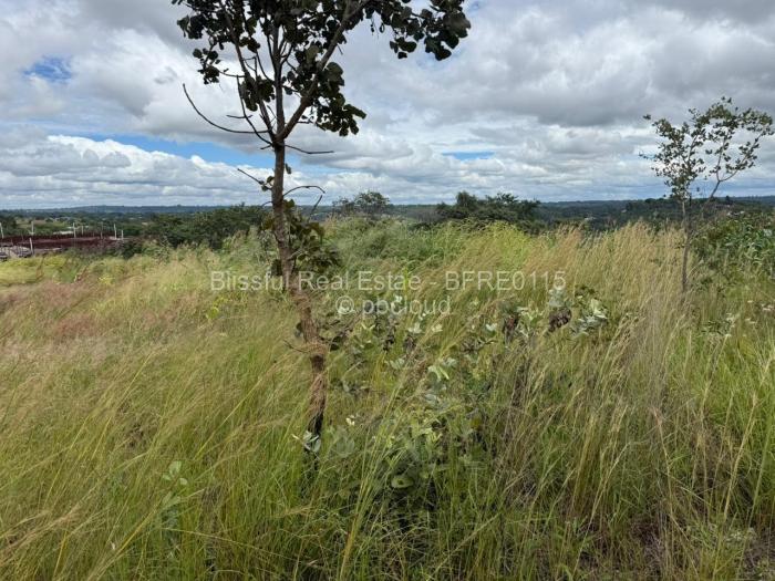 Residential Stand for Sale in Shawasha Hills, Harare