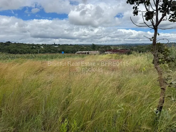 Residential Stand for Sale in Shawasha Hills, Harare
