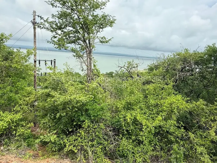 Residential Stand for Sale in Binga, Binga