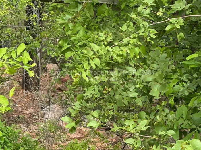 Residential Stand for Sale in Binga, Binga