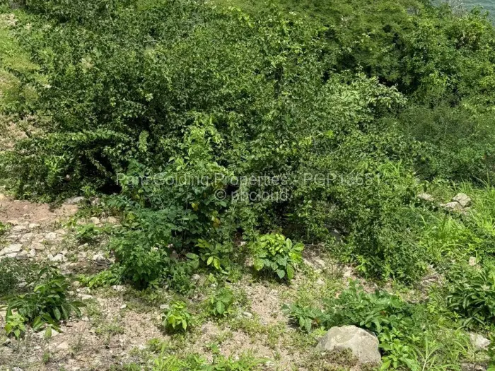 Residential Stand for Sale in Binga, Binga