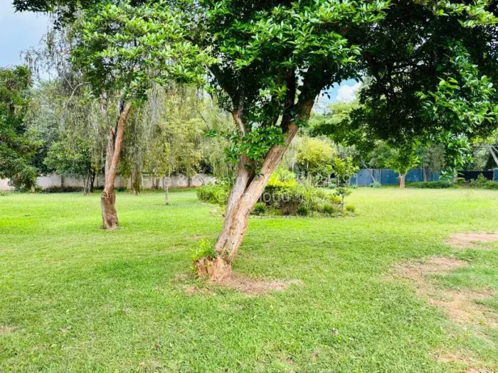 3 Bedroom House to Rent in Chisipite, Harare