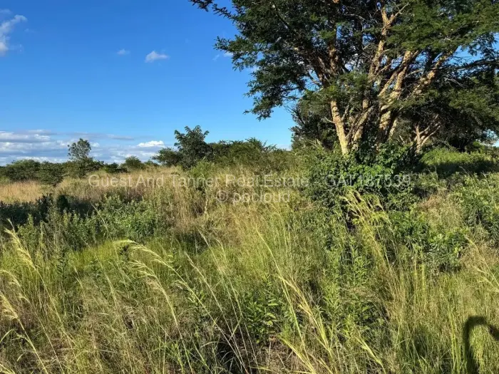 Commercial Stand for Sale in Rusape, Rusape