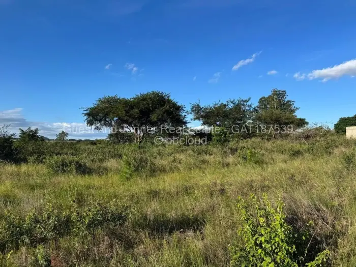 Commercial Stand for Sale in Rusape, Rusape