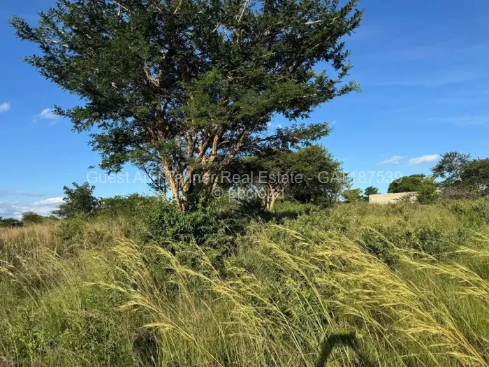 Commercial Stand for Sale in Rusape, Rusape