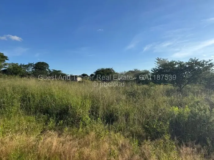 Commercial Stand for Sale in Rusape, Rusape