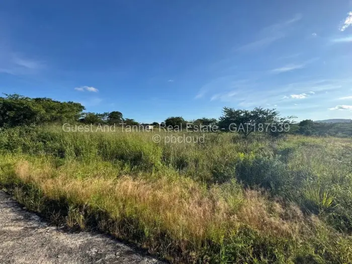 Commercial Stand for Sale in Rusape, Rusape